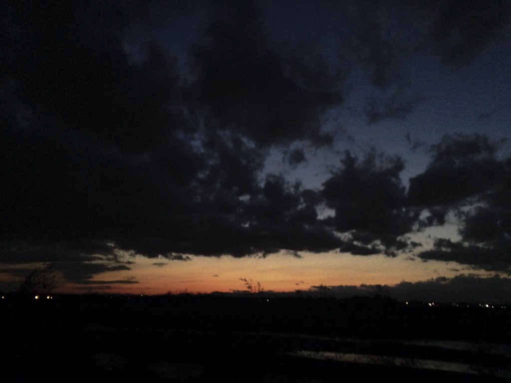 at dusk 2016/03/24