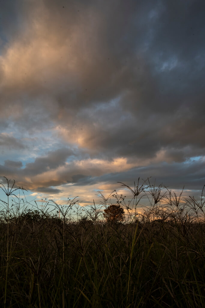 Z 5, NIKKOR Z 26mm f/2.8