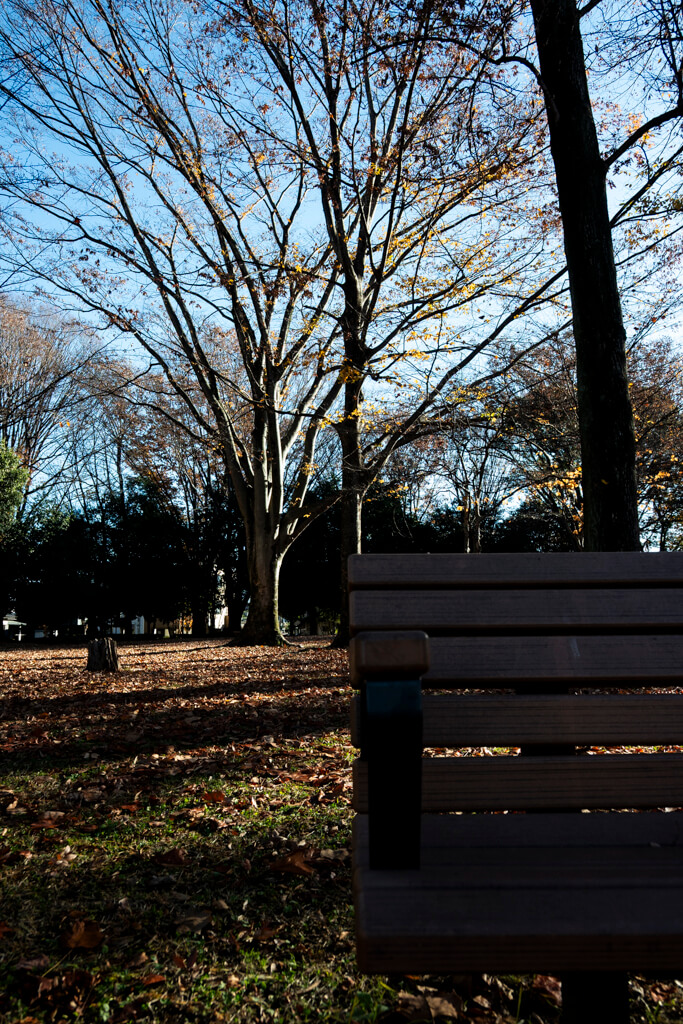 Z30 + NIKKOR Z DX 16-50mm f-3.5-6.3 VR