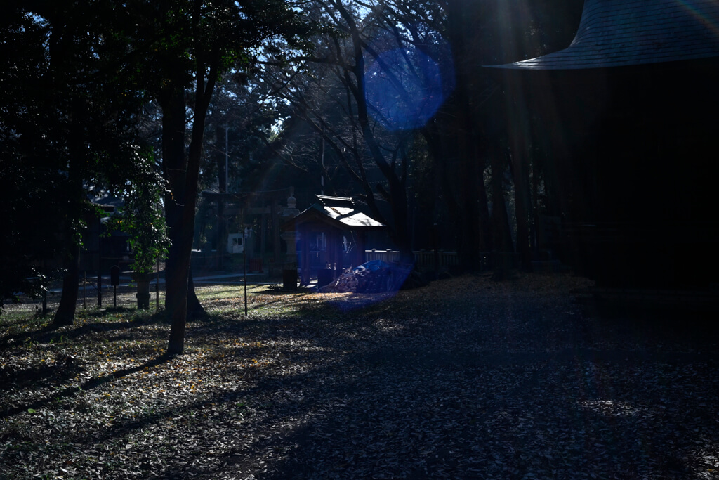 Z 5, W-NIKKOR・C 3.5cm f/2.5