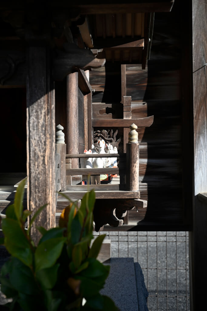 Z 5, Summaron 3.5cm f/3.5